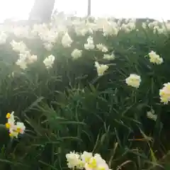 秋葉神社の自然