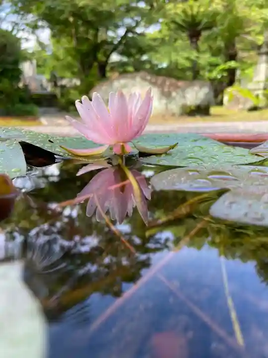 伊勢の国 四天王寺の自然