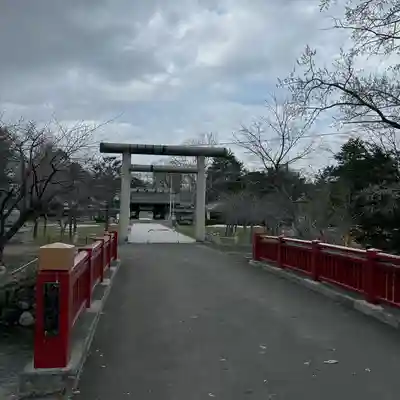 札幌護國神社の鳥居