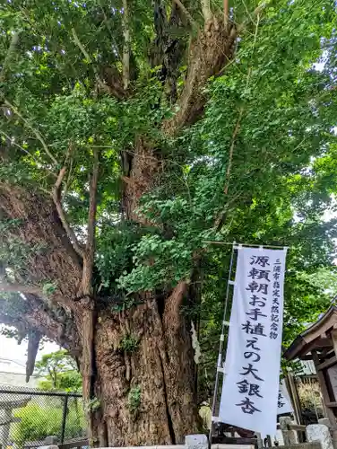 海南神社の自然