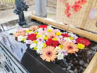 美幌神社の手水舎