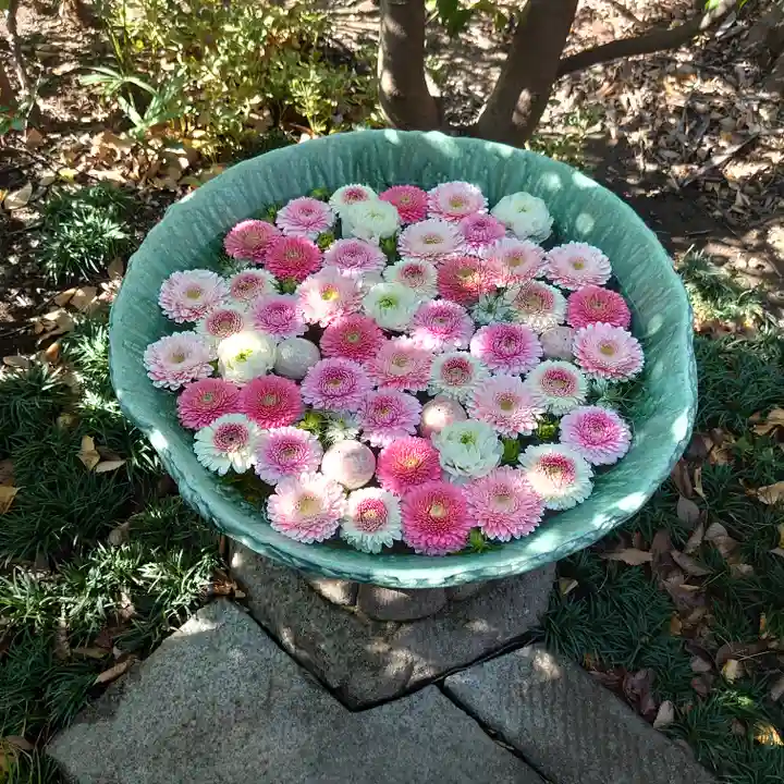 行田八幡神社の手水舎