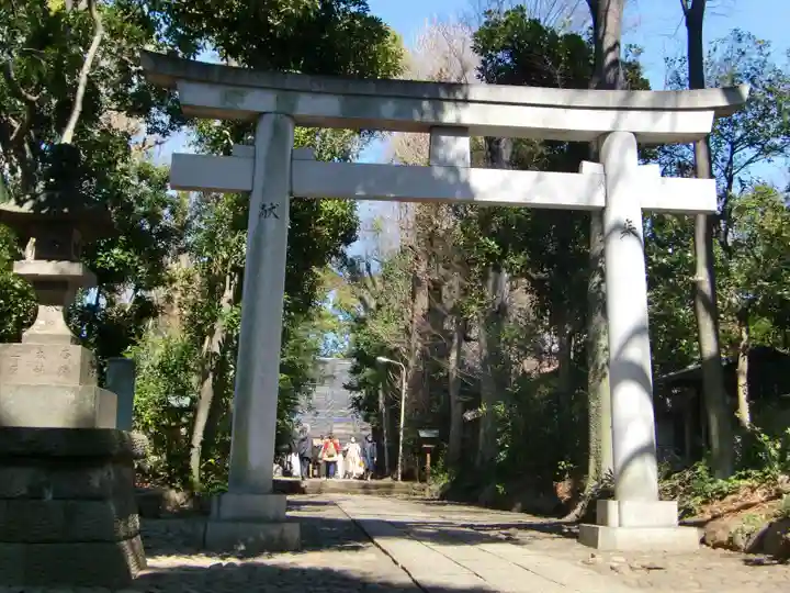 代々木八幡宮の鳥居