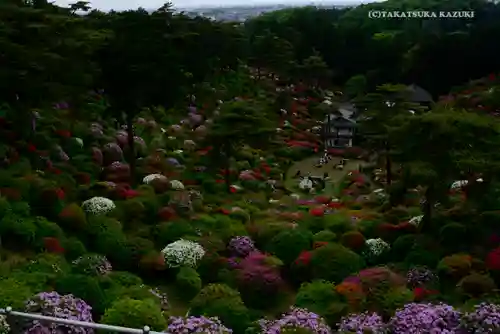 塩船観音寺の景色