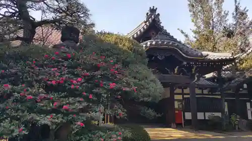 東禅寺の庭園