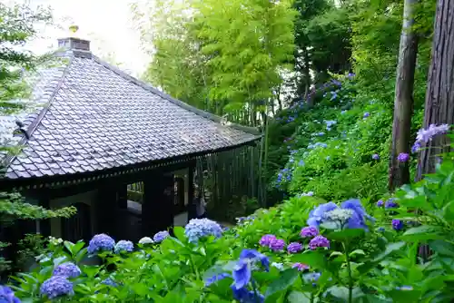 長谷寺の景色