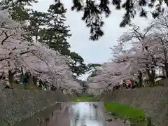 苦楽園口子安延命地蔵の自然