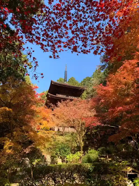 金剛輪寺の塔
