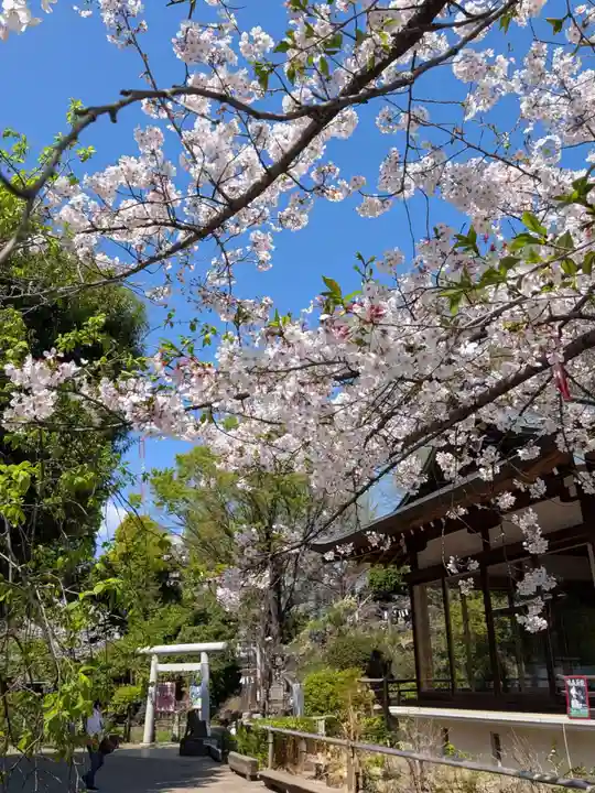 鳩森八幡神社(東京都)