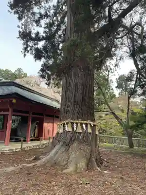 志波彦神社・鹽竈神社(宮城県)
