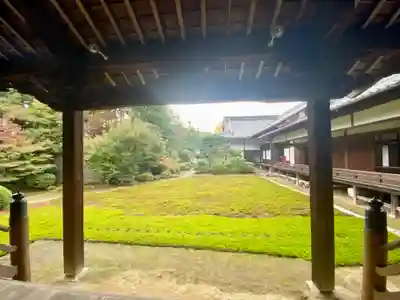 隨心院（随心院）の庭園