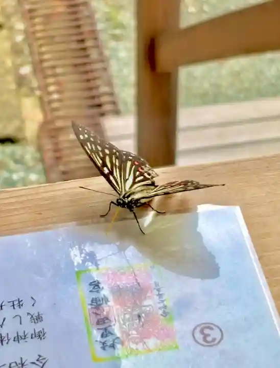 蚊里田八幡宮(長野県)