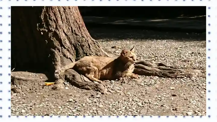 小野照崎神社(東京都)