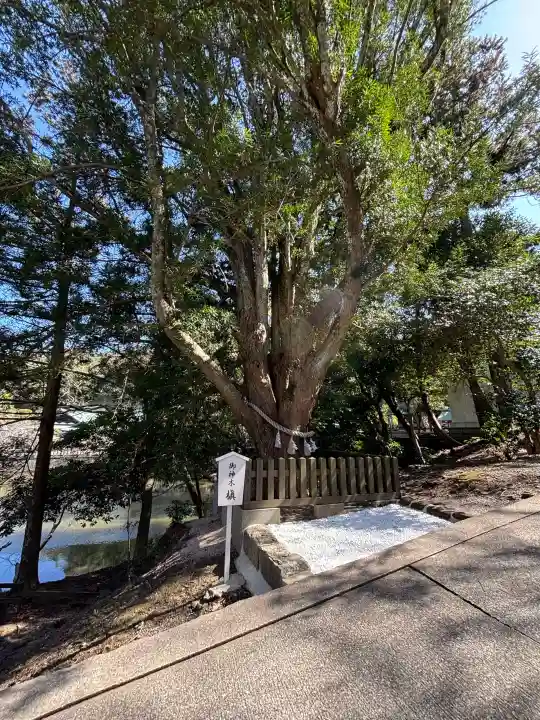 安房神社の{uncategorized: "未分類", other: "その他", undefined: "問題あり", building: "その他建物", grave: "お墓", sacred_gate: "鳥居", guardian: "狛犬", statue: "像", buddha: "仏像", history: "歴史", nature: "自然", garden: "庭園", animal: "動物", pagoda: "塔", temizu: "手水舎", mountain_gate: "山門・神門", sanctuary: "本殿・本堂", subordinate: "末社・摂社", art: "芸術", scenery: "景色", jizo: "地蔵", ema: "絵馬", goshuin: "御朱印", omikuji: "おみくじ", items: "授与品その他", amulet: "お守り", goshuincho: "御朱印帳", eats: "食事", festival: "お祭り", votive_dance: "神楽", shichigosan: "七五三参", wedding: "結婚式", experience: "体験その他", initially: "初詣", around: "周辺", anti_infection: "感染症対策"}