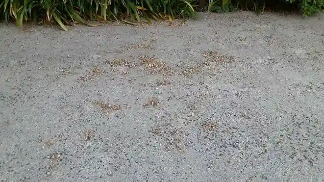 西方山極楽寺(岐阜県)