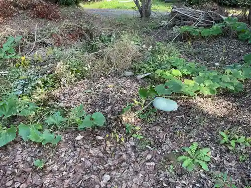 手白神社(愛知県)