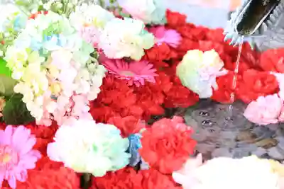 札幌諏訪神社の手水舎