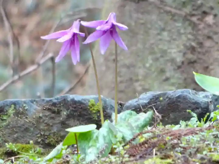 常昌院(神奈川県)