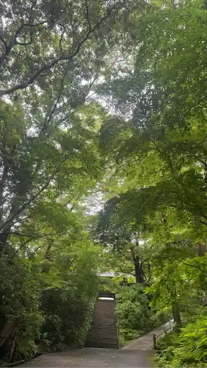 妙本寺(神奈川県)