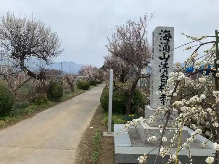 清白寺のその他建物