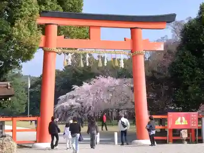 賀茂別雷神社(上賀茂神社)の鳥居