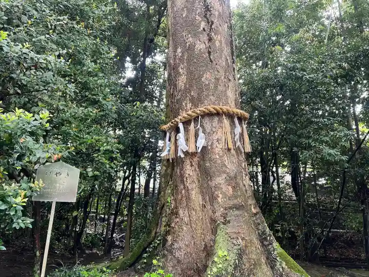 宇治上神社(京都府)