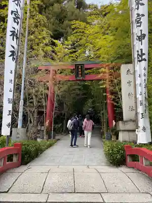 來宮神社(静岡県)