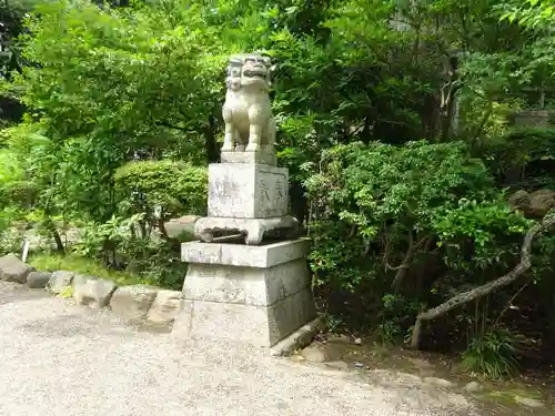 報徳二宮神社の狛犬