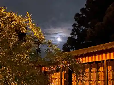 東海市熊野神社のお祭り