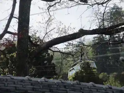 不動寺(埼玉県)