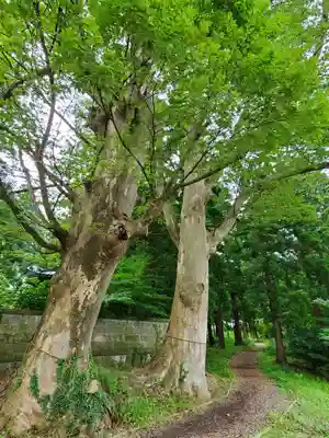 神炊館神社 ⁂奥州須賀川総鎮守⁂(福島県)