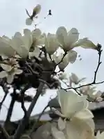 無量寿院(兵庫県)