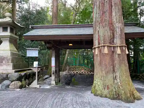 椿大神社の手水舎