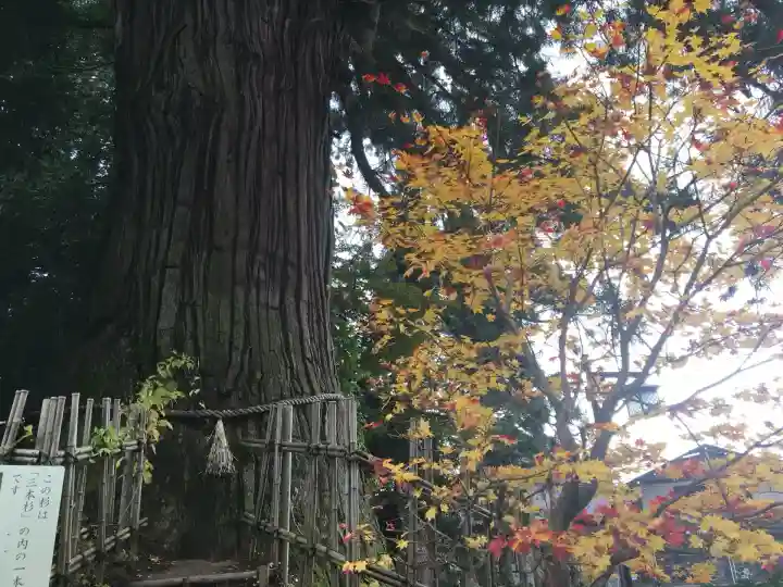 戸隠神社奥社(長野県)