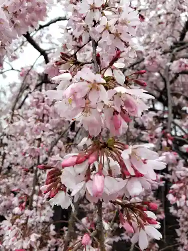 福蔵院(東京都)