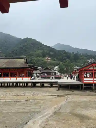厳島神社(広島県)