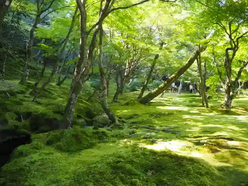 慈照寺（慈照禅寺・銀閣寺）の庭園