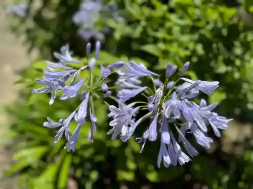 阿邪訶根神社(福島県)
