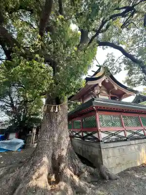 生根神社(大阪府)