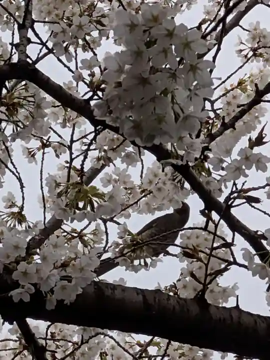 金王八幡宮(東京都)