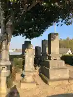 薬師如来堂の{uncategorized: "未分類", other: "その他", undefined: "問題あり", building: "その他建物", grave: "お墓", sacred_gate: "鳥居", guardian: "狛犬", statue: "像", buddha: "仏像", history: "歴史", nature: "自然", garden: "庭園", animal: "動物", pagoda: "塔", temizu: "手水舎", mountain_gate: "山門・神門", sanctuary: "本殿・本堂", subordinate: "末社・摂社", art: "芸術", scenery: "景色", jizo: "地蔵", ema: "絵馬", goshuin: "御朱印", omikuji: "おみくじ", items: "授与品その他", amulet: "お守り", goshuincho: "御朱印帳", eats: "食事", festival: "お祭り", votive_dance: "神楽", shichigosan: "七五三参", wedding: "結婚式", experience: "体験その他", initially: "初詣", around: "周辺", anti_infection: "感染症対策"}