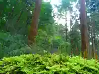 諏訪神社の自然