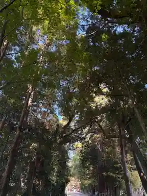 猿投神社(愛知県)