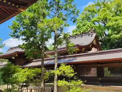 弓弦羽神社(兵庫県)