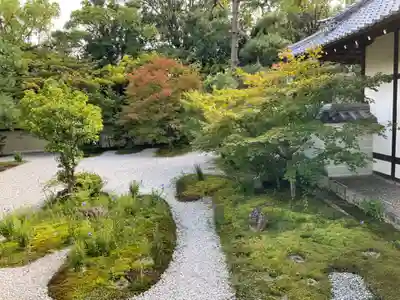 廬山寺(廬山天台講寺)(京都府)