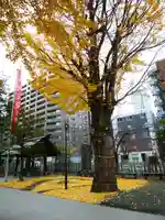 北海道神宮頓宮の芸術