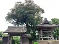 寳性寺のその他建物