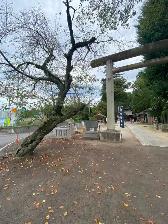素鵞神社(茨城県)