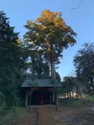 日枝大神(千葉県)