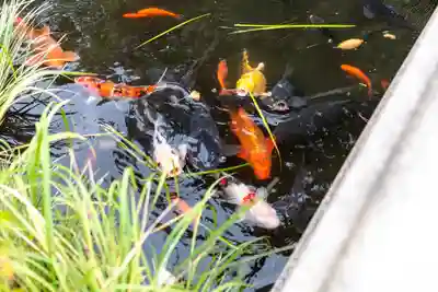 彦島八幡宮(山口県)
